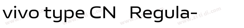 vivo type CN简 Regula字体转换